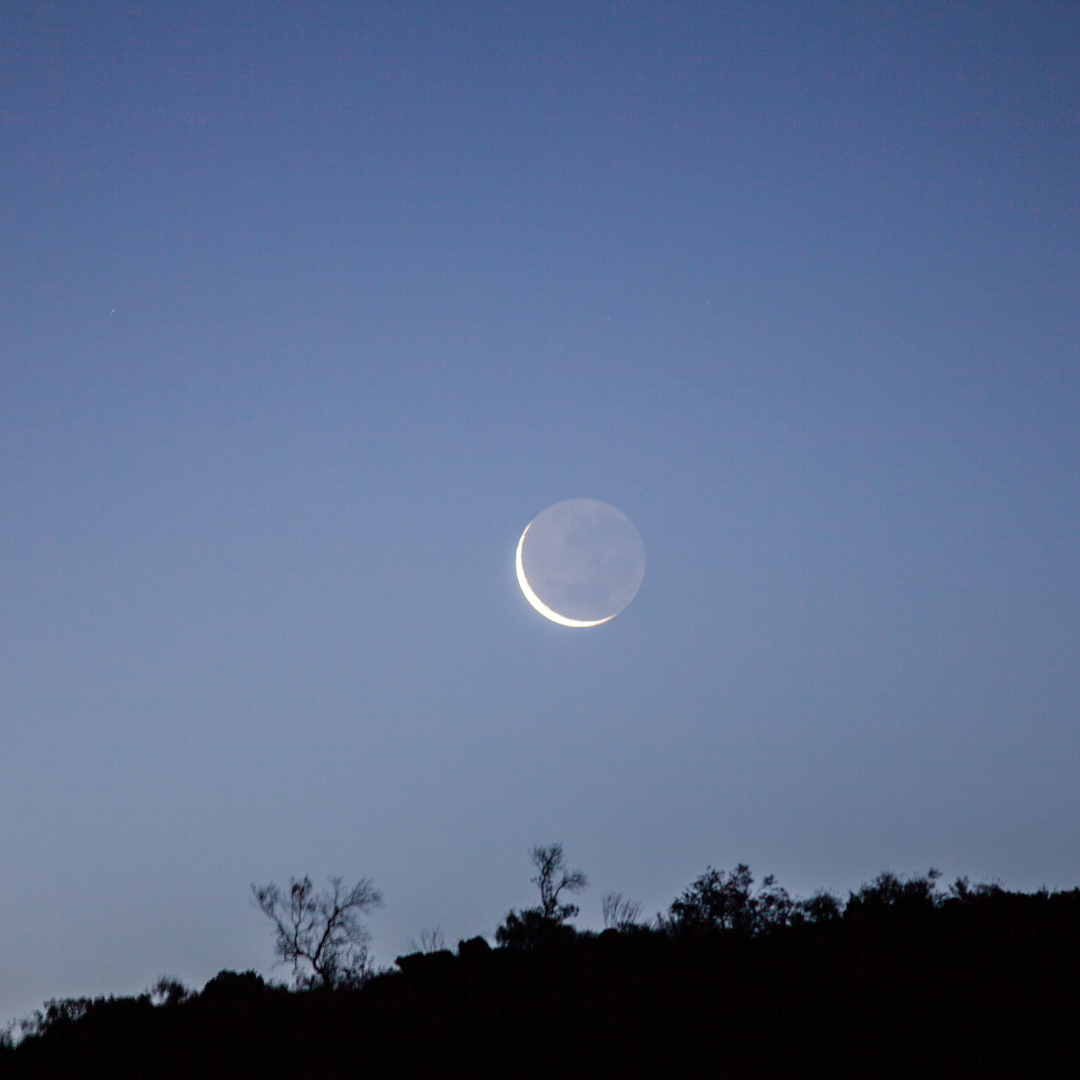 【山羊座の新月】12月23日に今年最後の新月を迎えます。🌒来年に向けたアクションを！