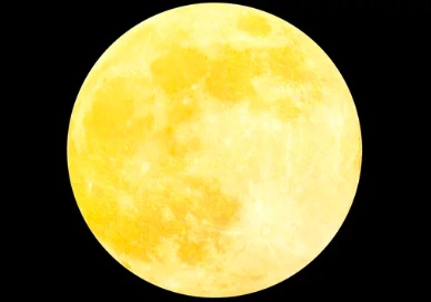 【満月】1月26日は、獅子座の満月🌕【ニューボトルキャンペーン】