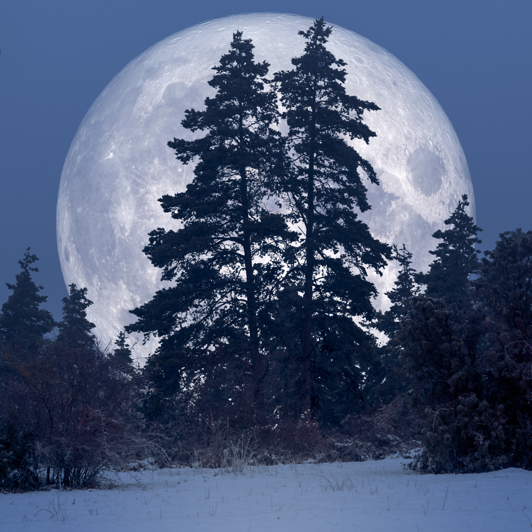 【満月】12月8日はふたご座の満月🌕今年最後の満月です！