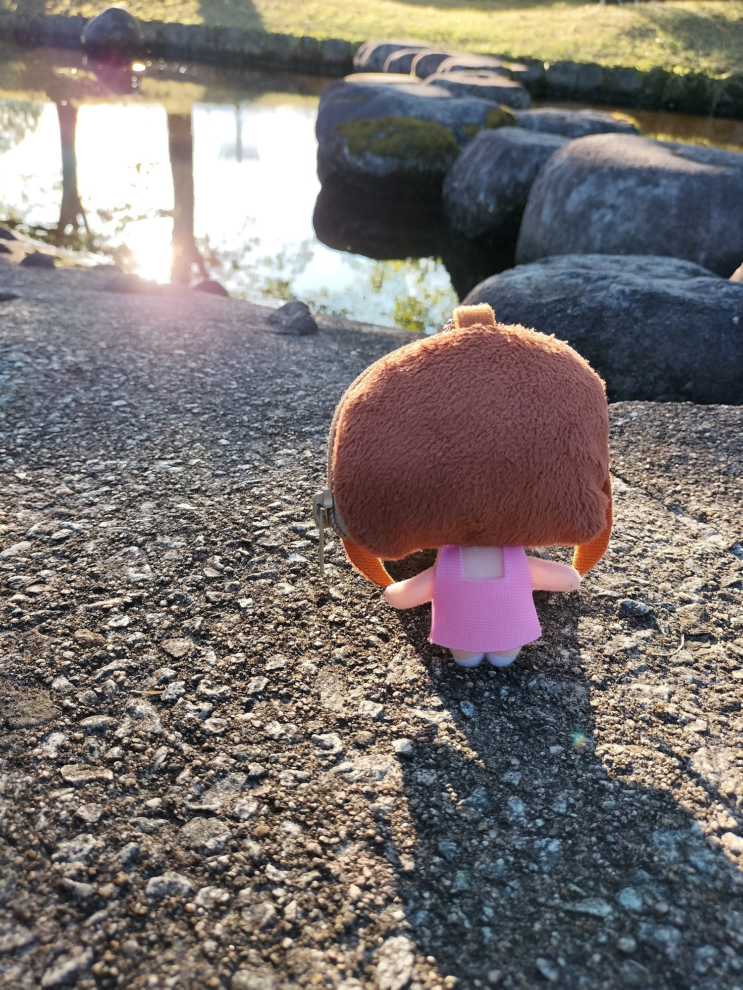 型紙桜子。日光をあびてたたずむ姿(｡･･｡)