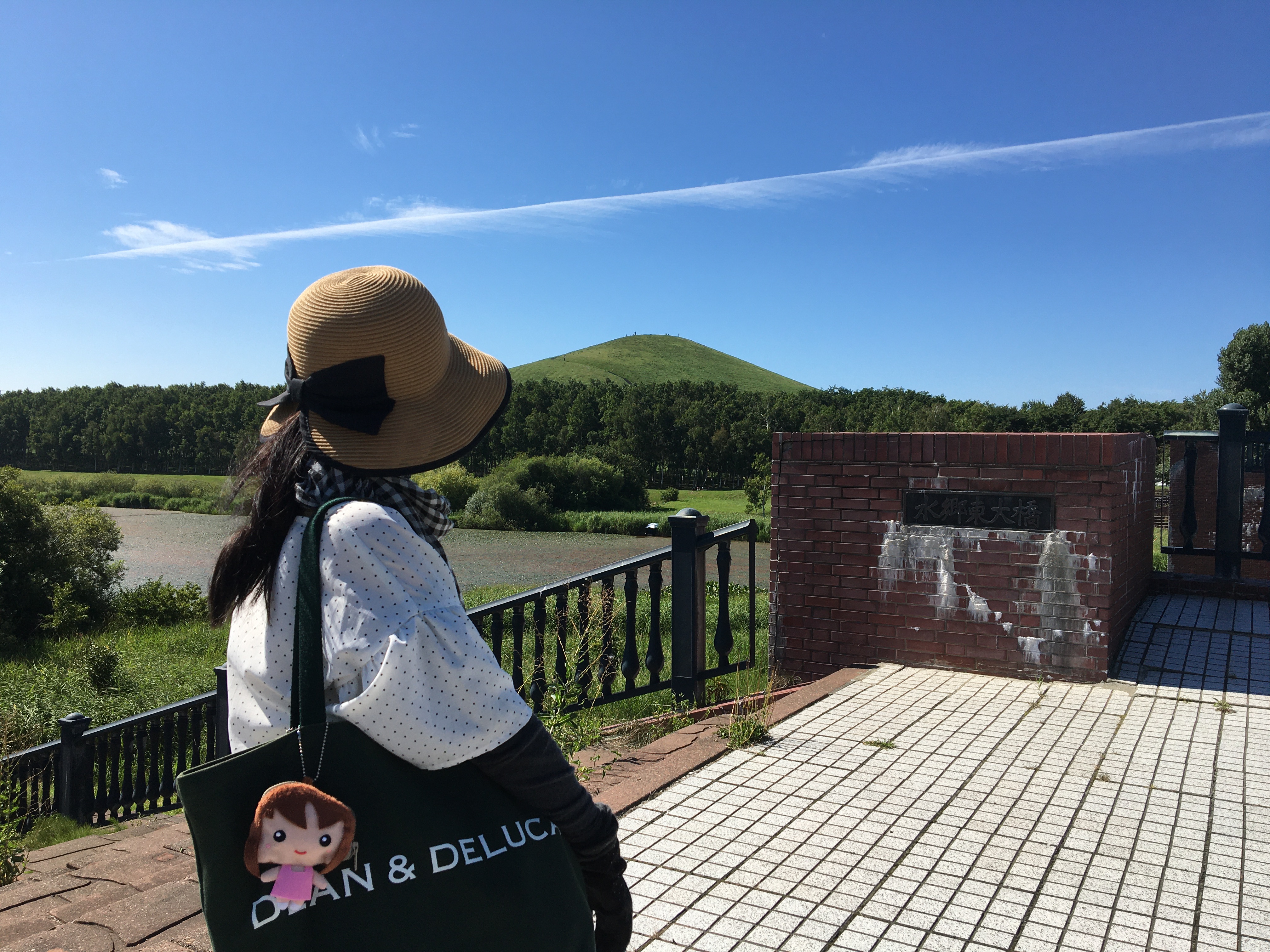 綺麗な一筋の雲！