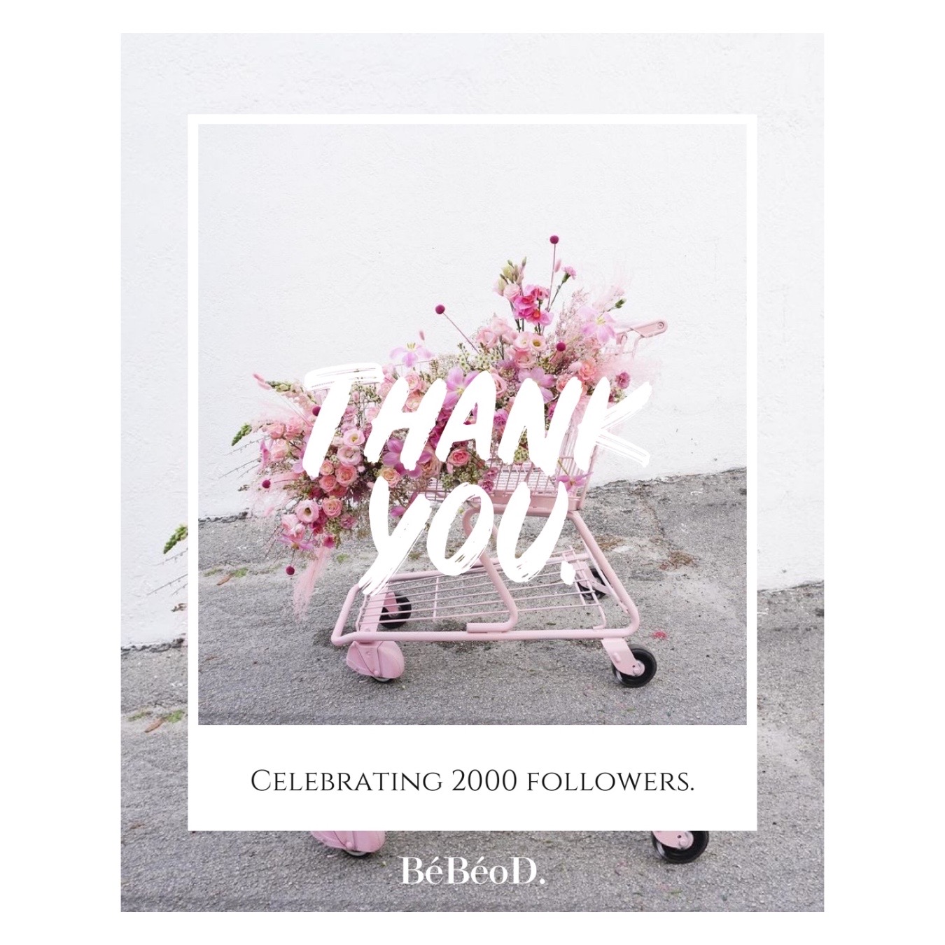 Thank you 2000 followers / 特別クーポンのお知らせ