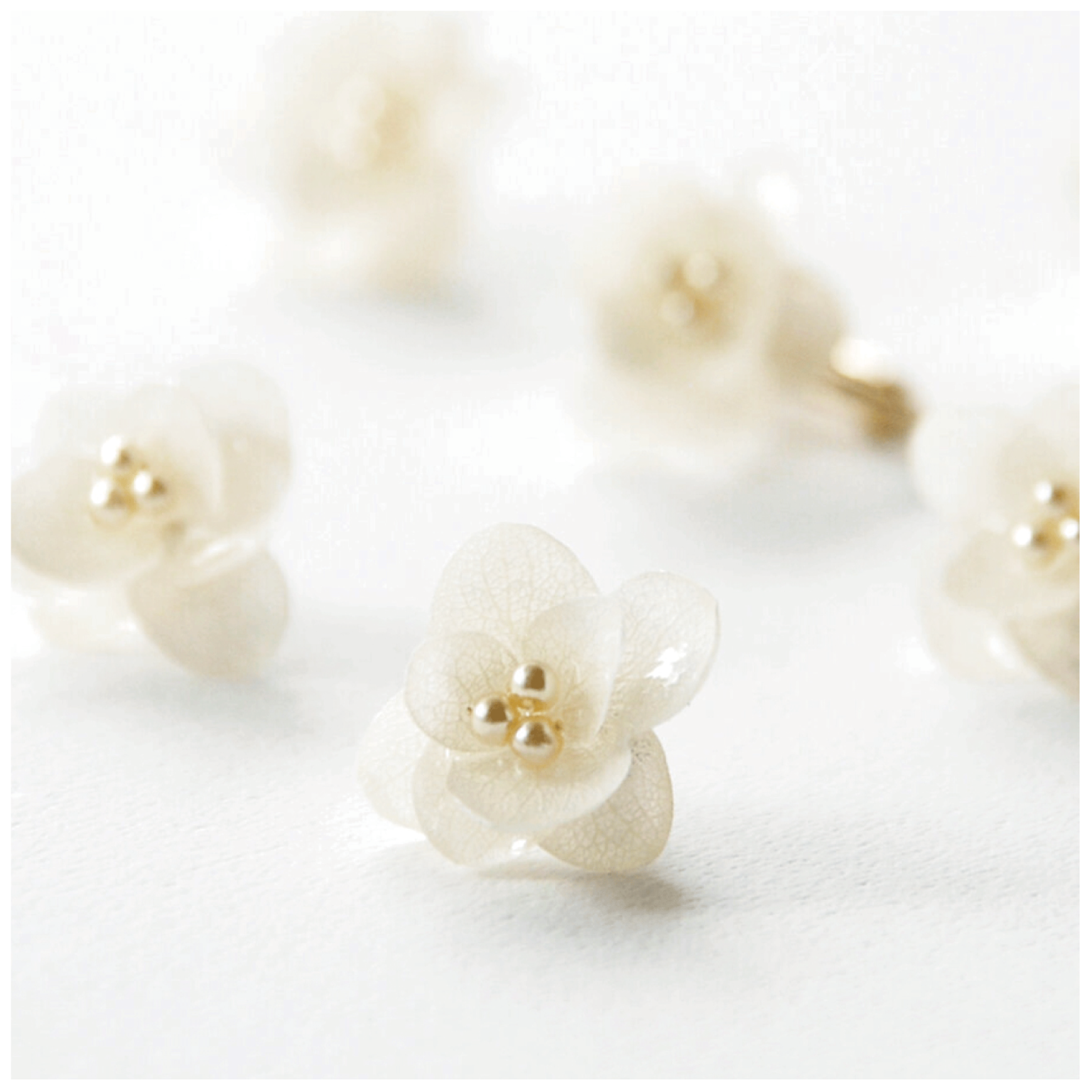 紫陽花ピアス ハナノメグミ（白）のご紹介☆