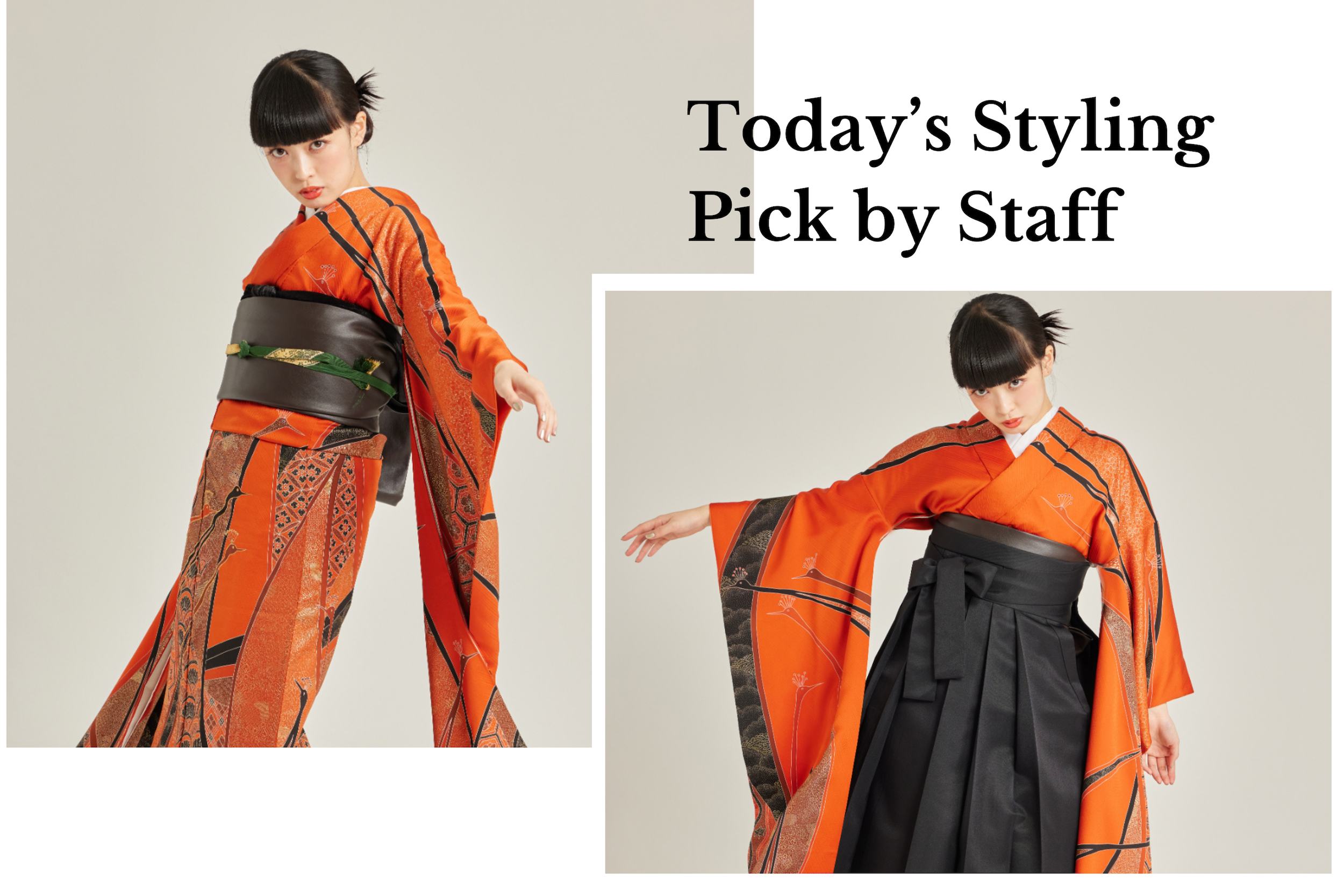 【スタッフのToday’s Pick】#013
