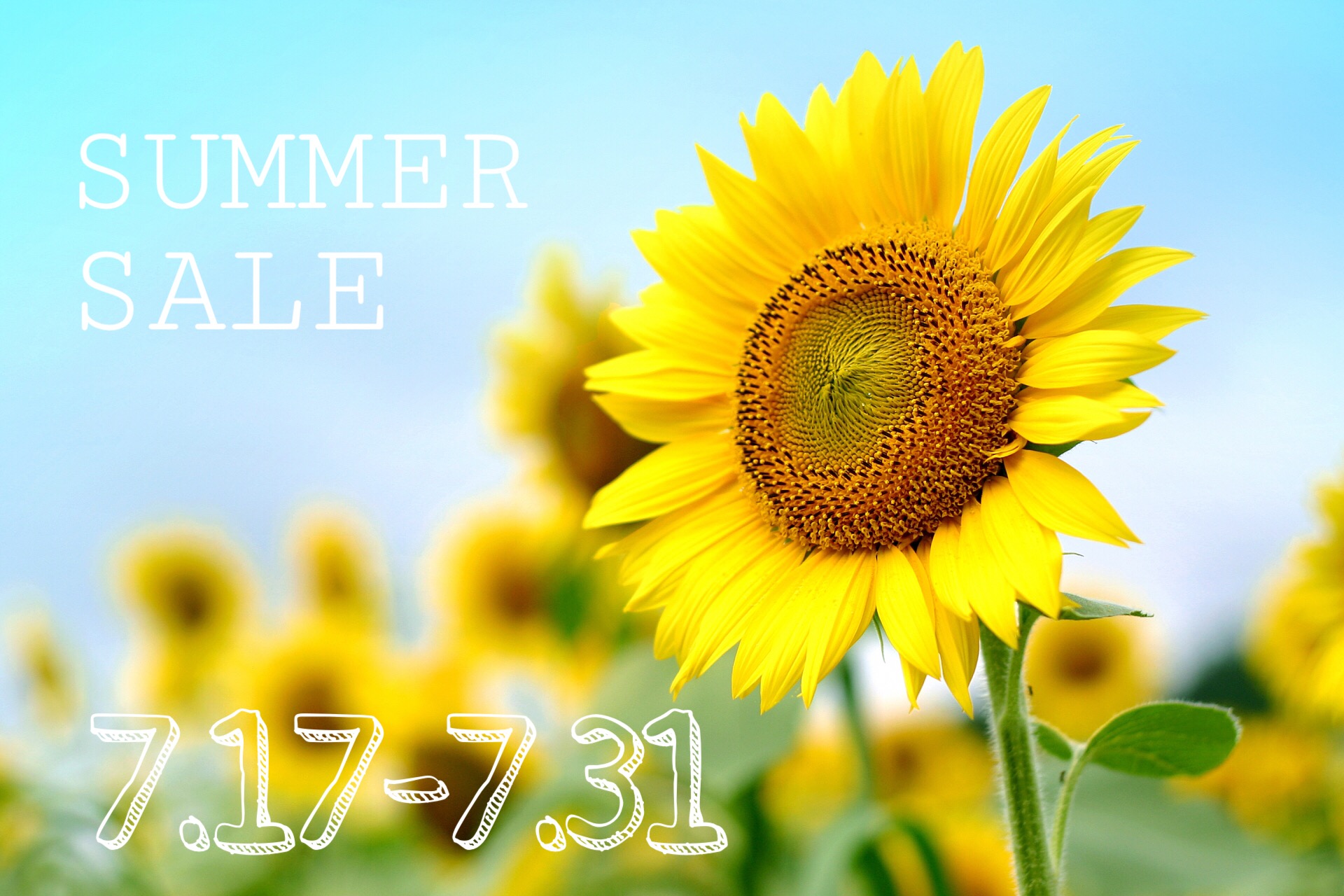 【 SUMMER SALE！】7/31まで全品10%OFF・¥5,000以上お買い上げで送料無料