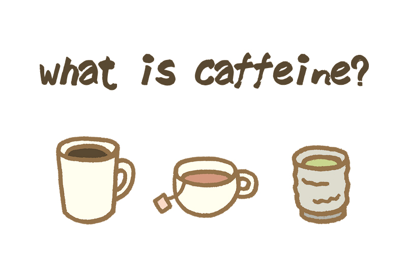 「カフェイン」とは？
