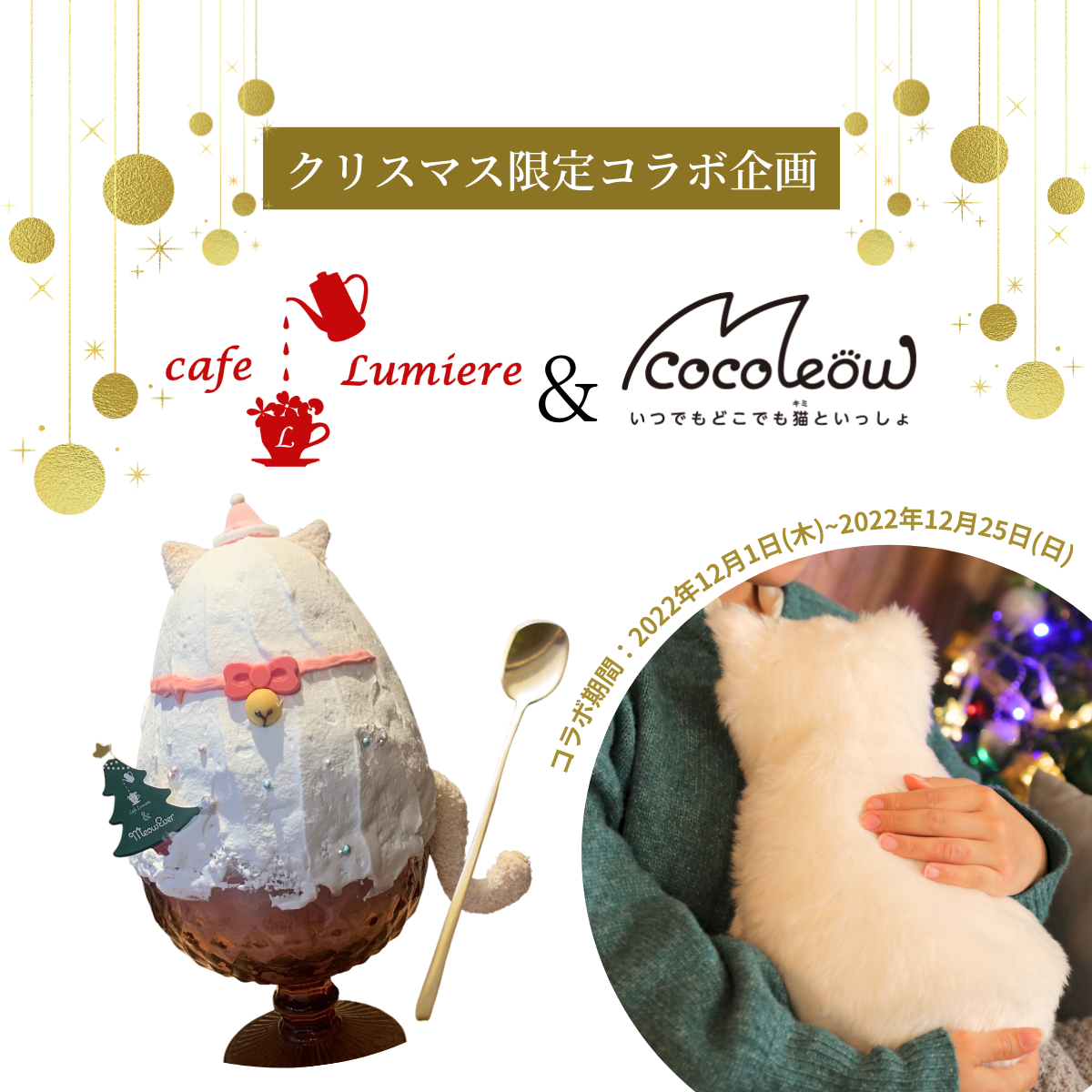 白猫ミャウエバーが、吉祥寺のかき氷カフェ「cafe Lumiere」とコラボ！ミャウ氷食べに来てね！