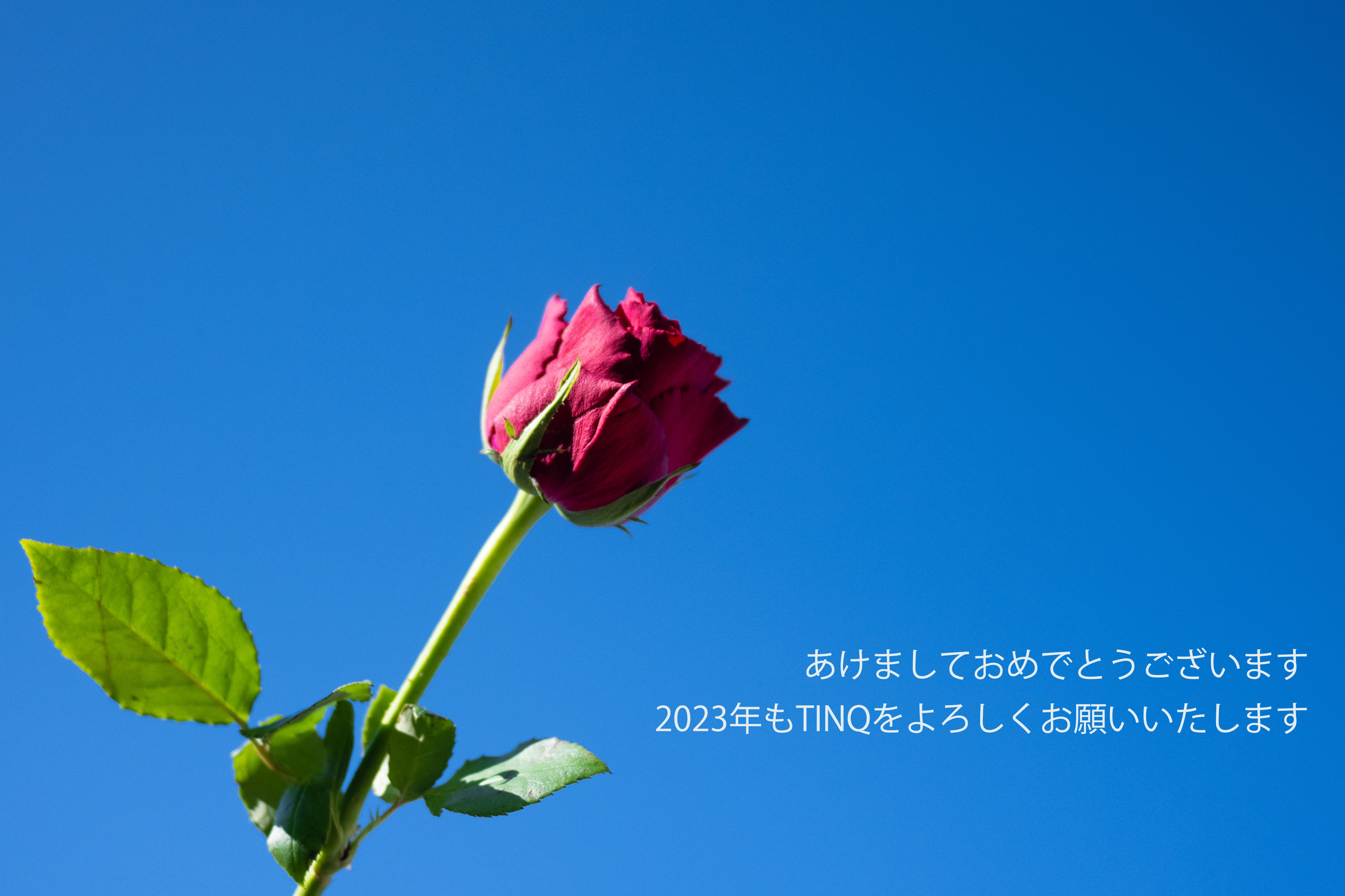 あけましておめでとうございます