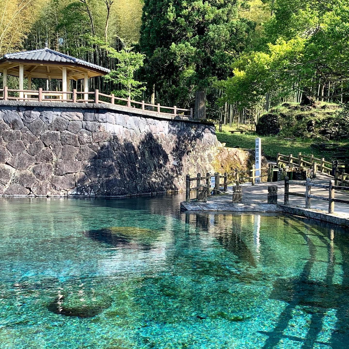ふわり水窪和代で活動中