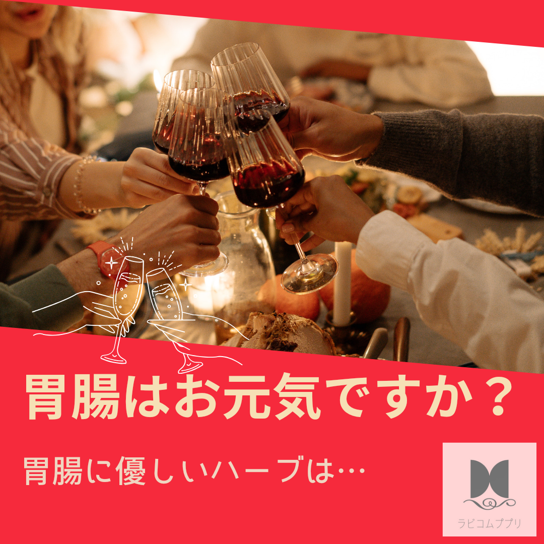 胃腸ケアにハーブティーを♡