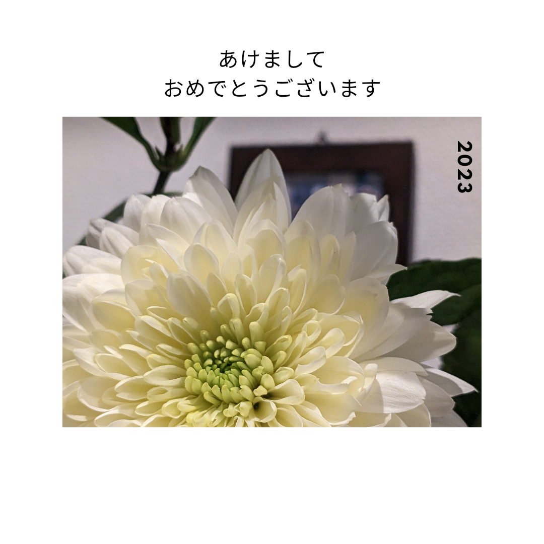 新年！今年もよろしくお願いします