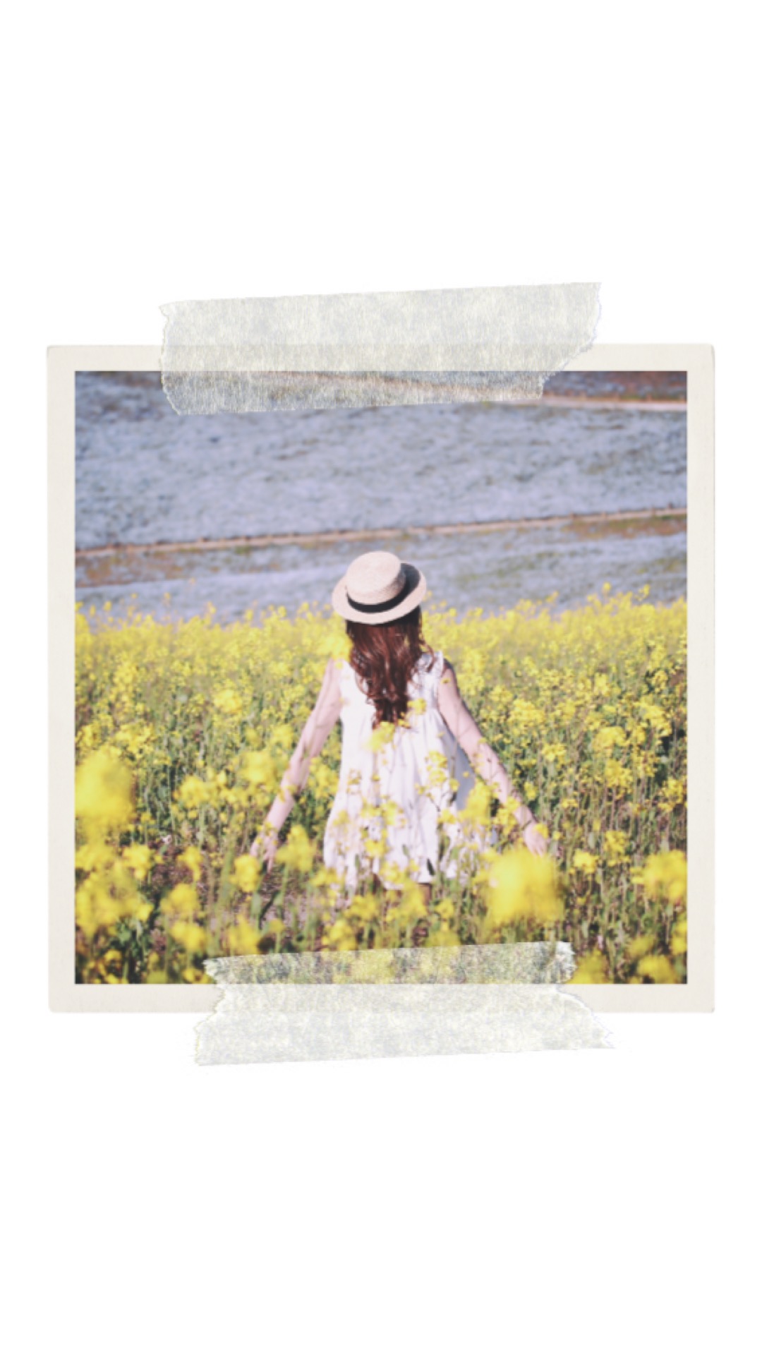 延長しています