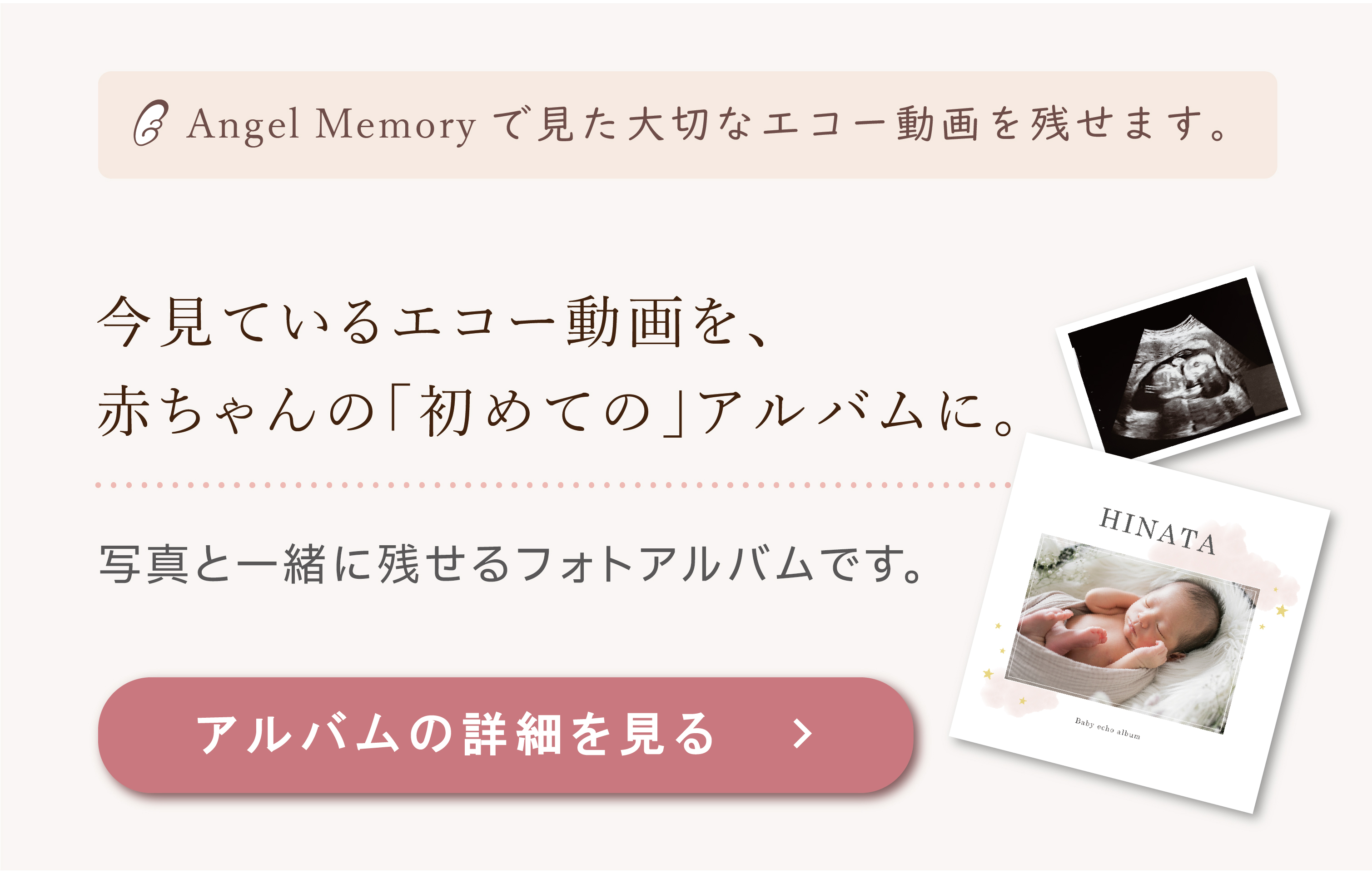 echo Albumのご紹介