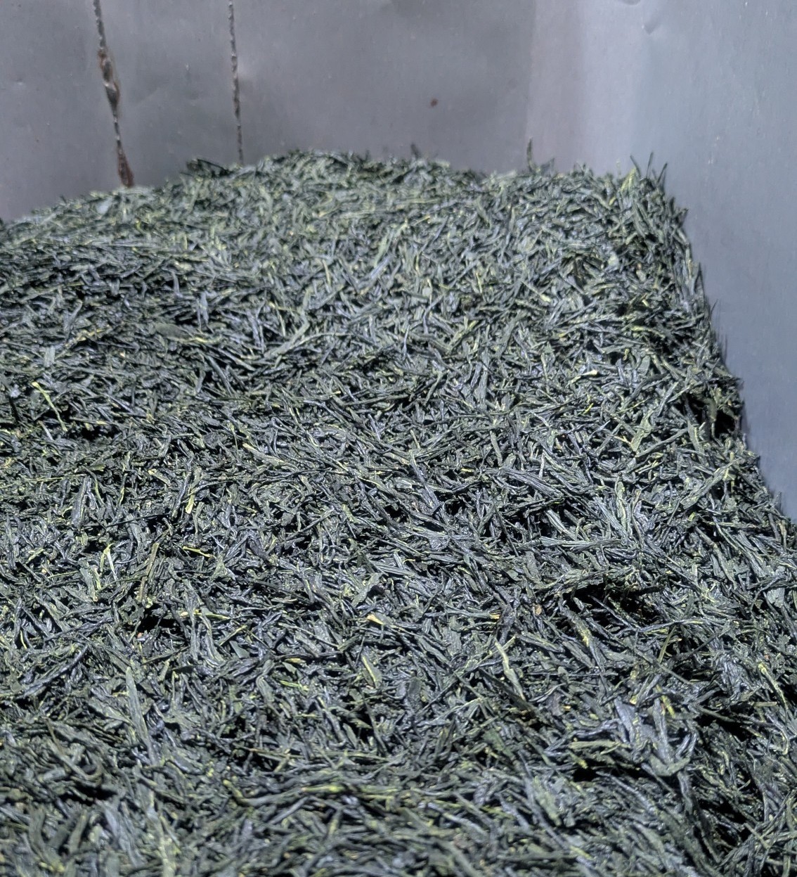 新茶の販売スタート