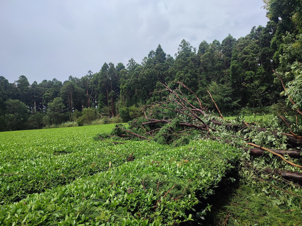 台風10号が上陸