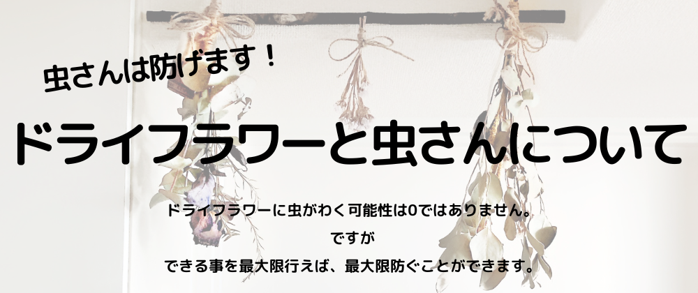 【心配】ドライフラワーに湧く虫について