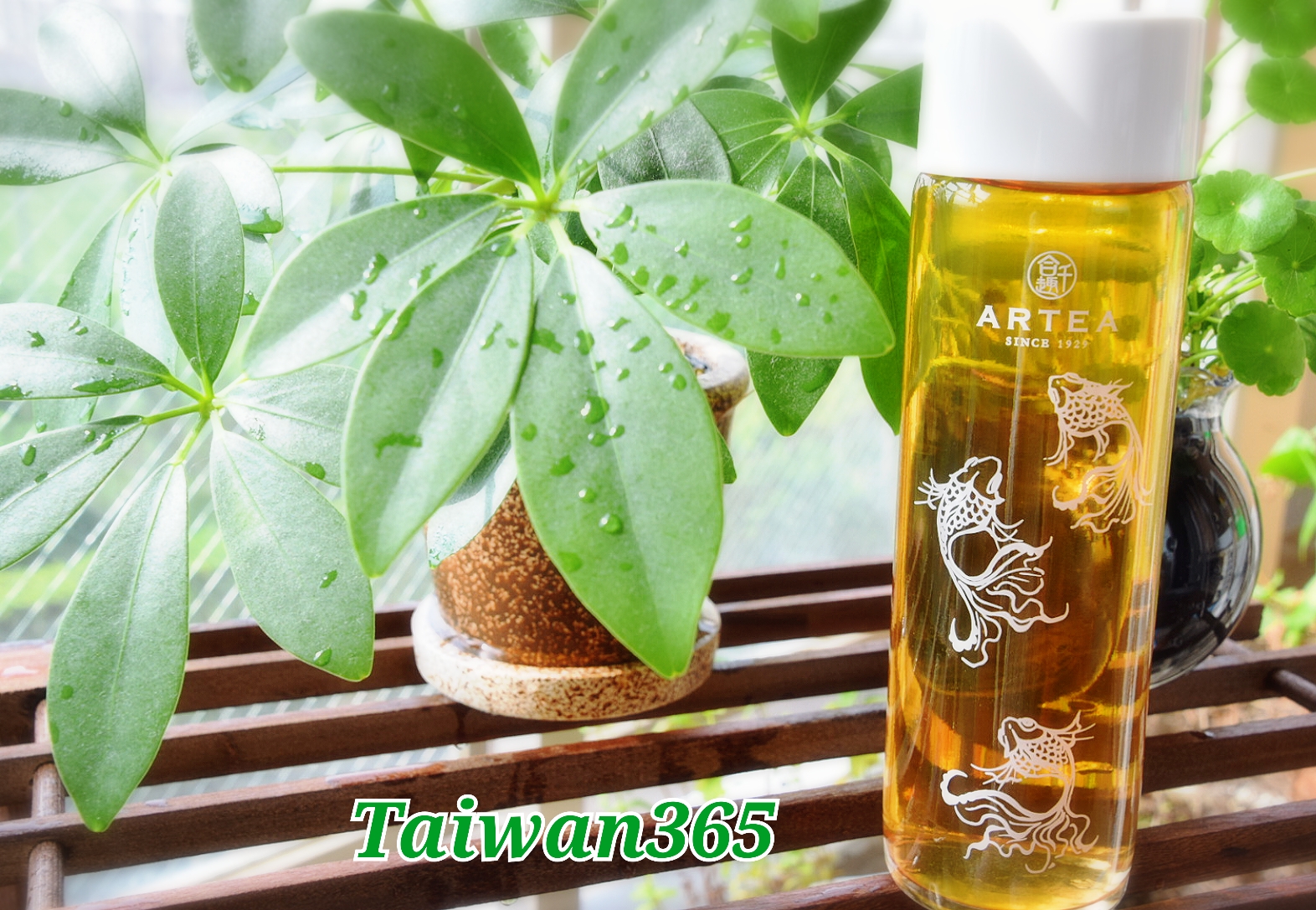 休業のお知らせ