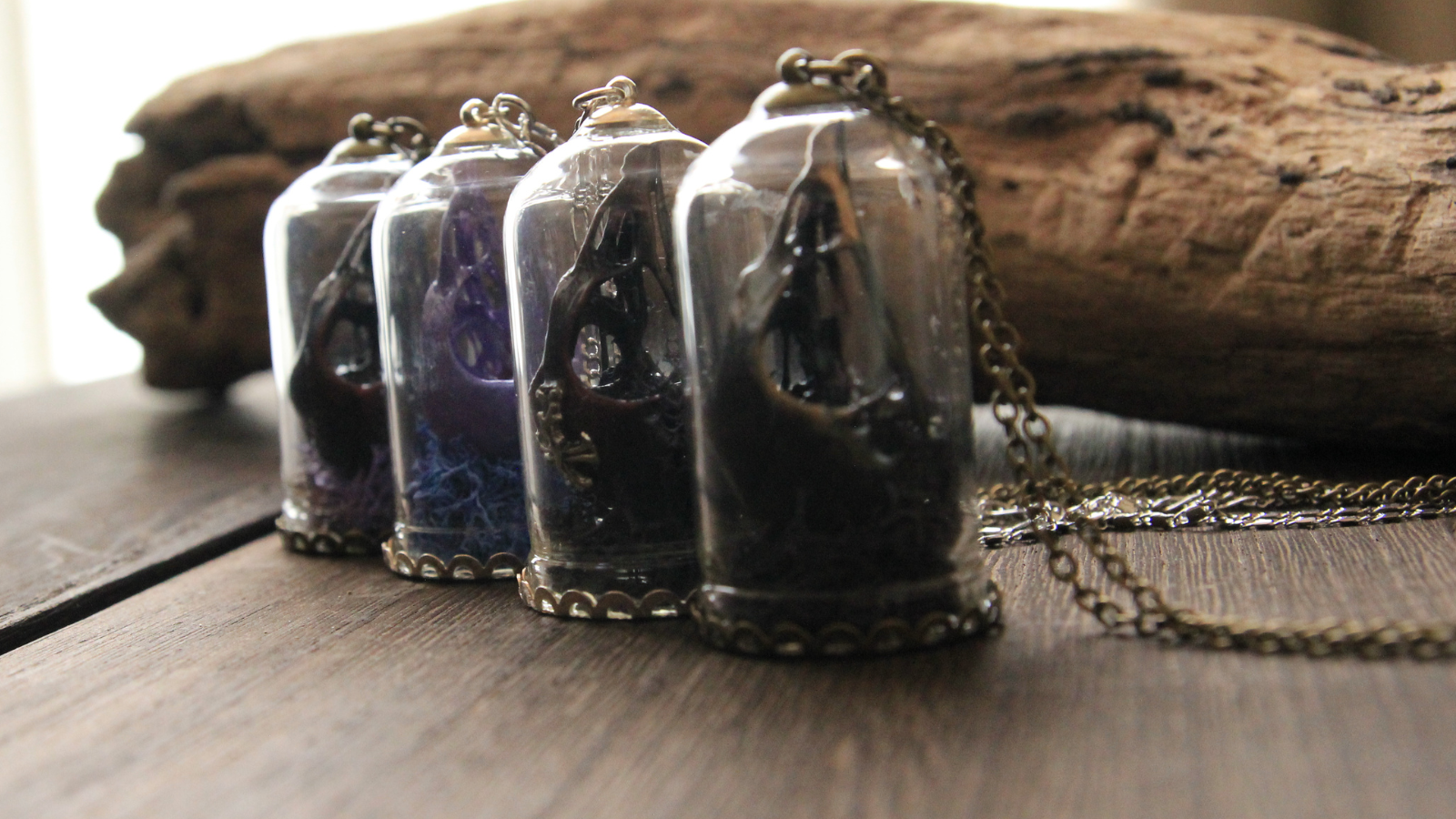 魔女の研究室から生まれた4つの標本