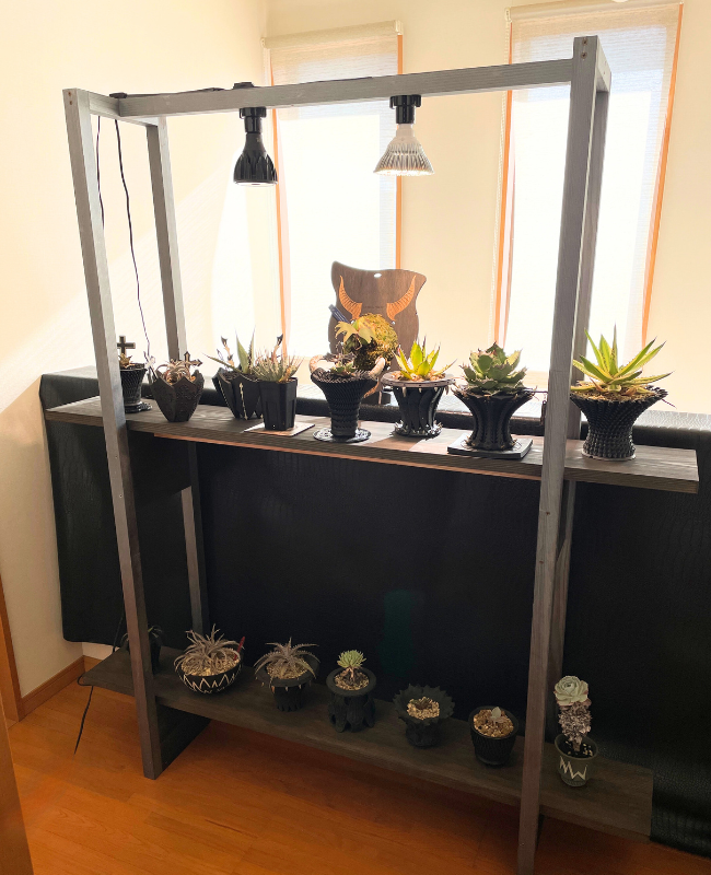 DIY植物棚の作り方
