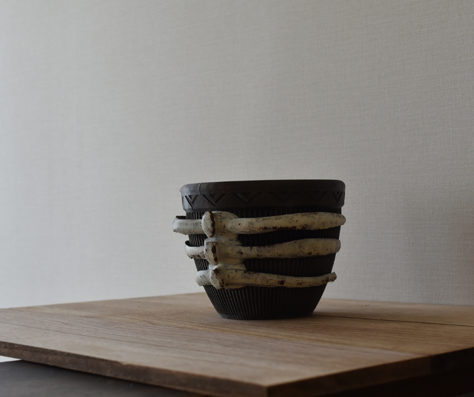 【プレゼント企画】アガベ鉢プレゼントキャンペーン応募者一覧&ルーレット予告!