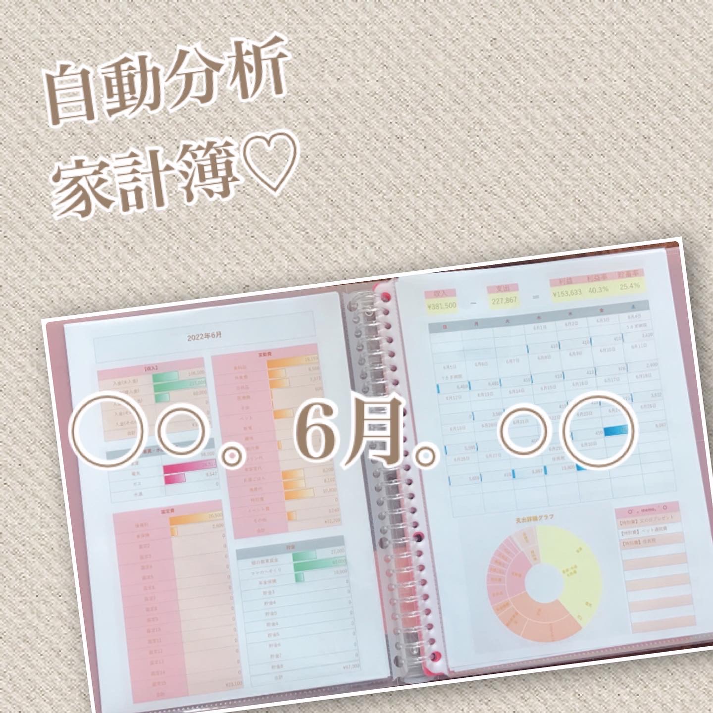 Excel家計簿♡6月♡自動分析Excel家計簿♡