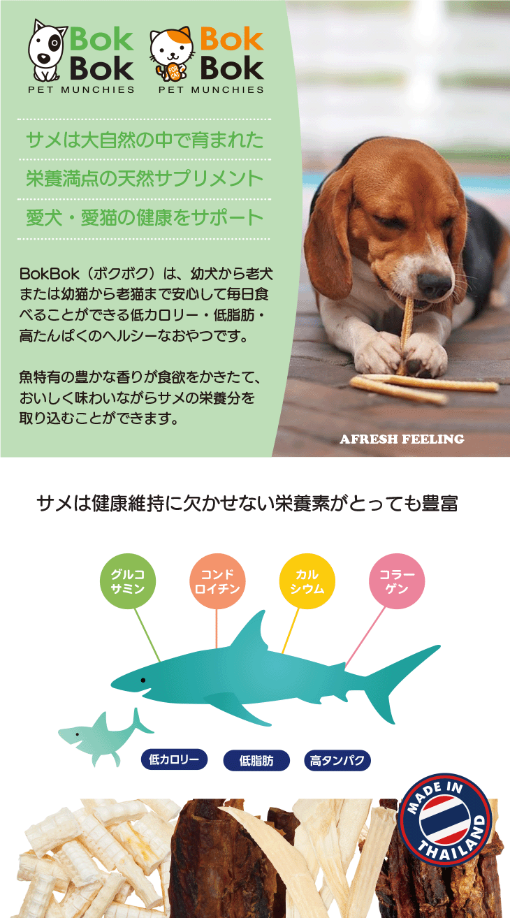 新発売！低カロリー・低脂肪・高たんぱくのサメの栄養分たっぷりのおやつ！！