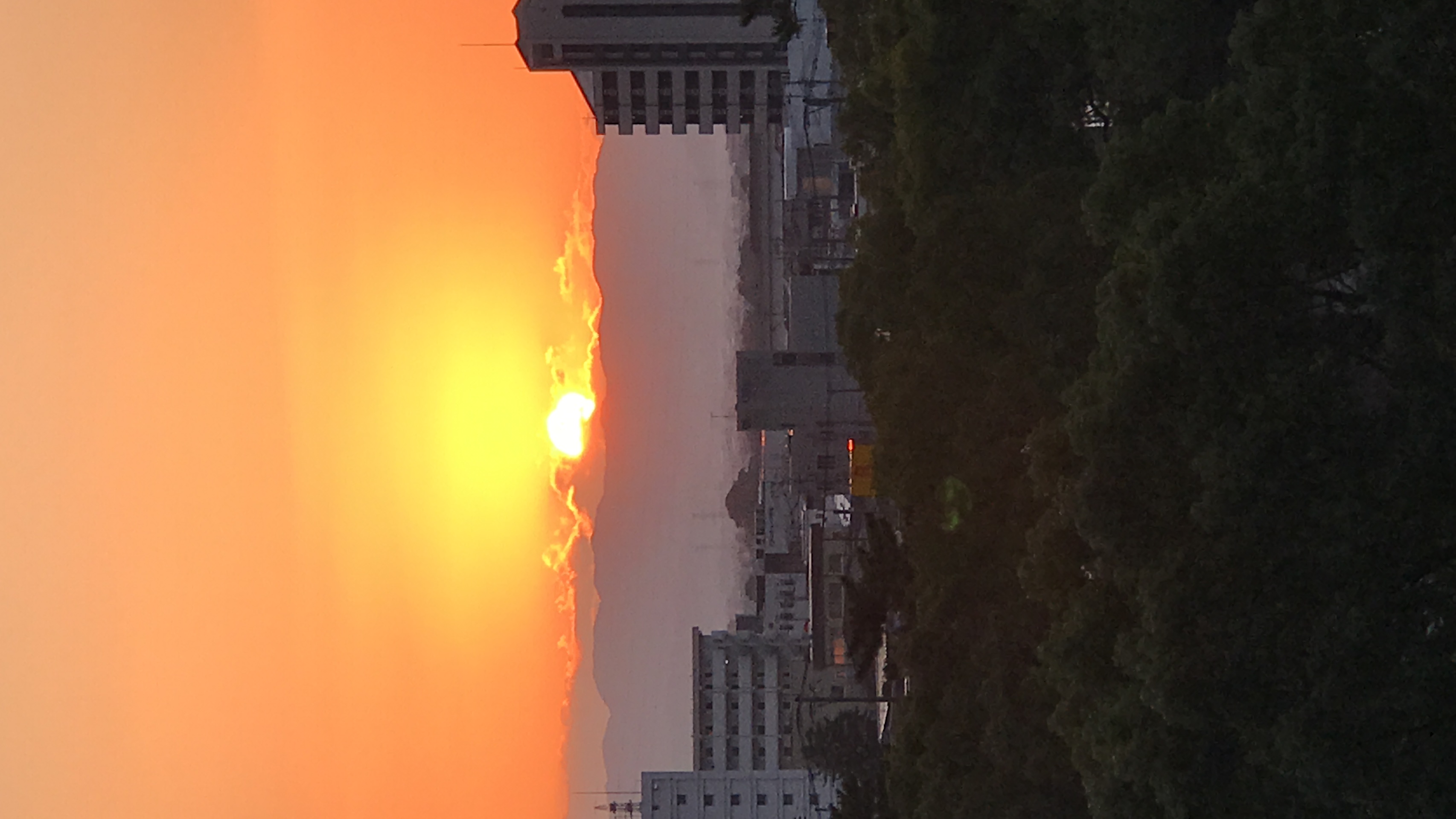 新年のご挨拶