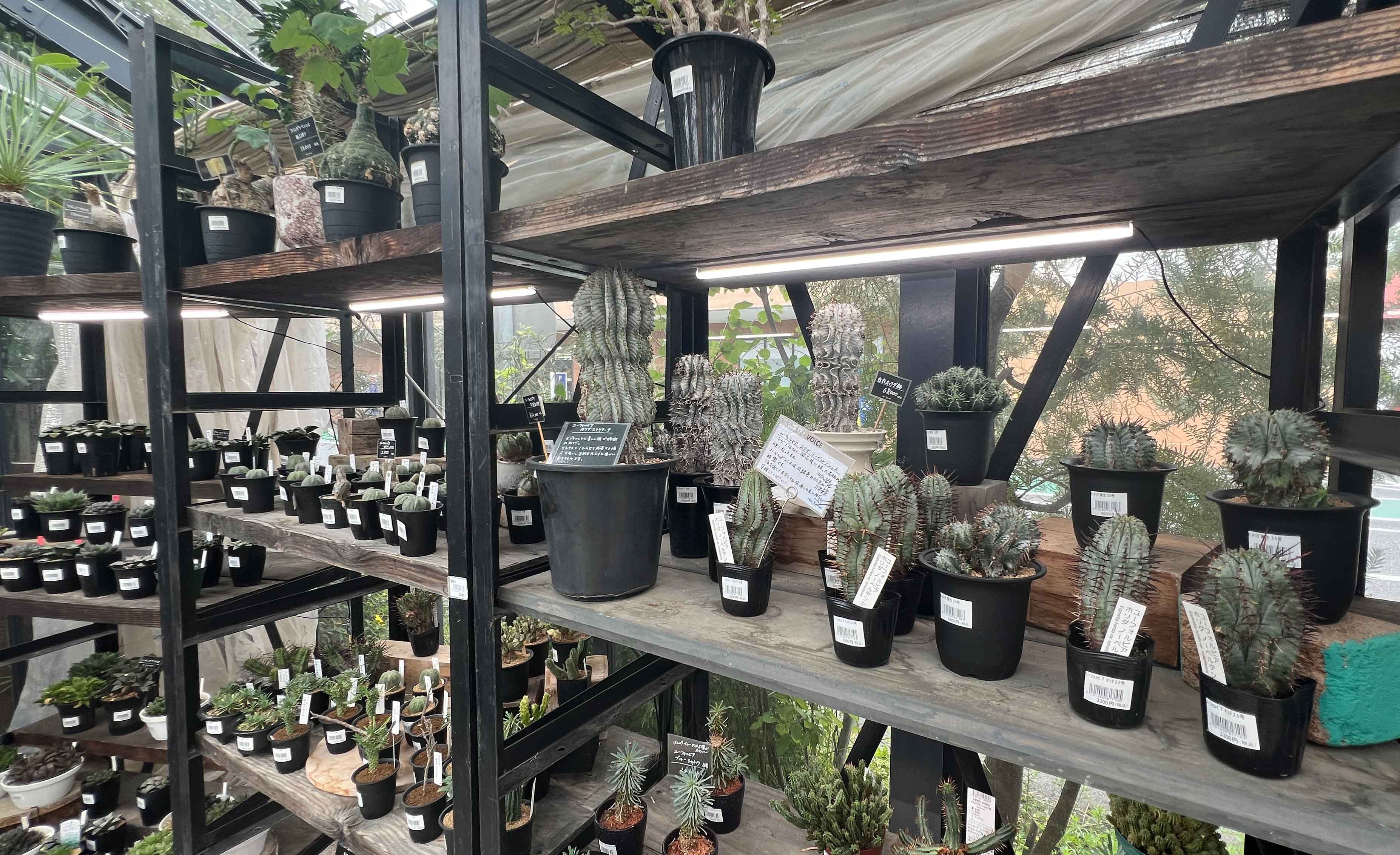 【クチコミ】植物育成ライト 　プラントテラス580