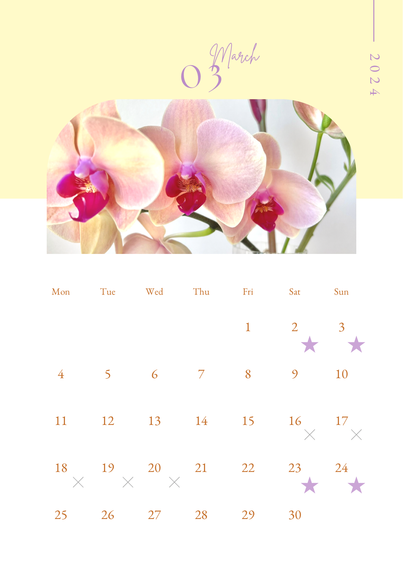 3月のスケジュール