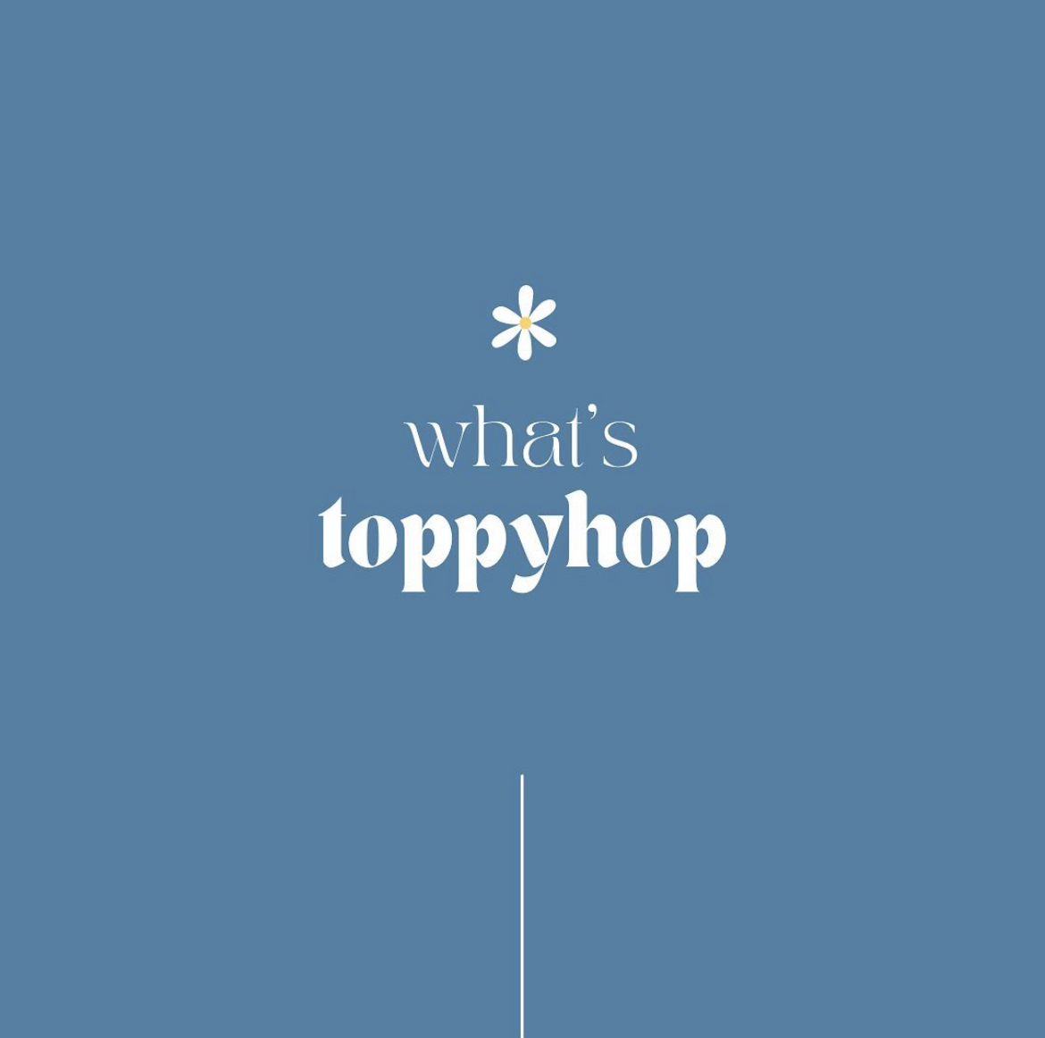 what's toppyhop?