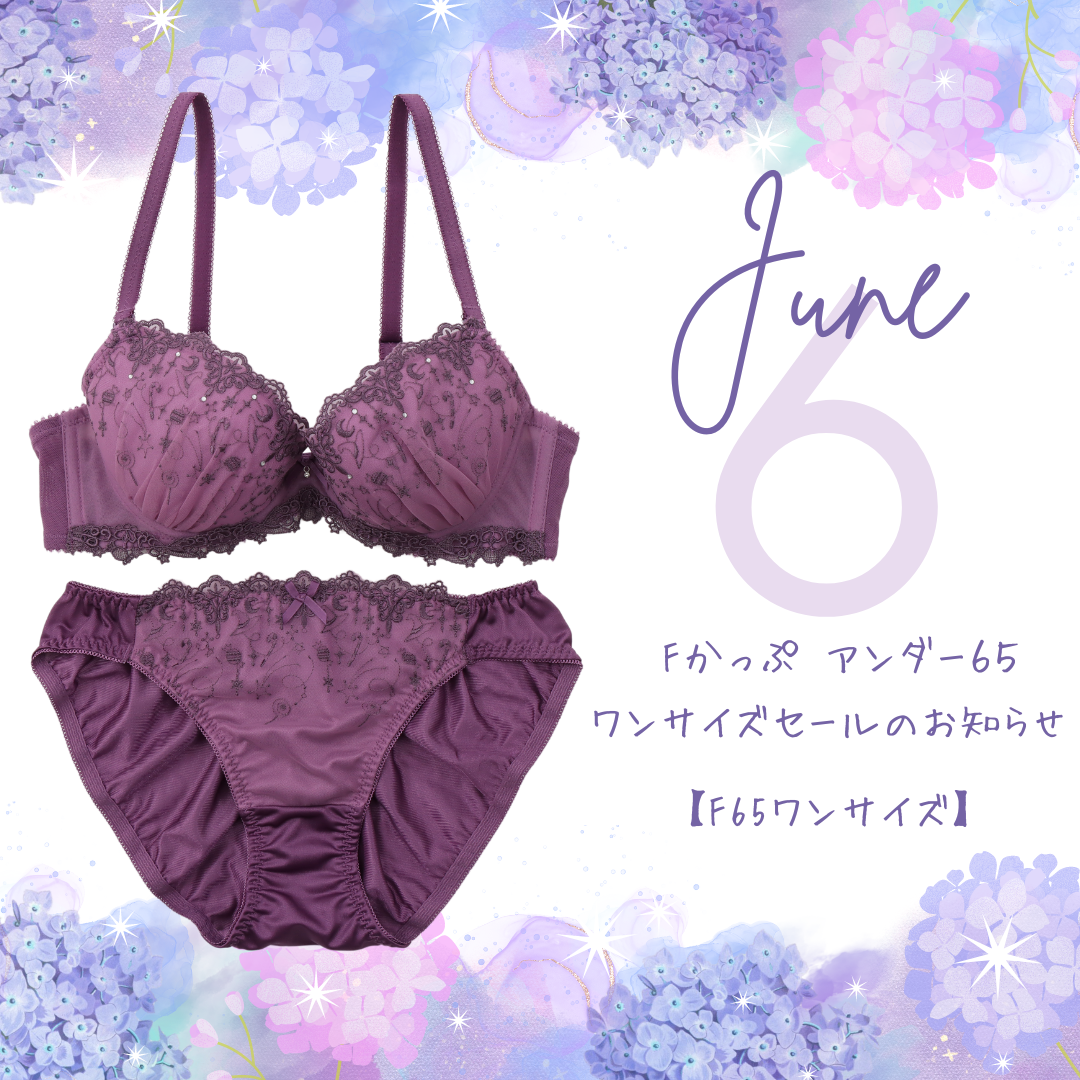 【48時間限定】（F65祭り）Fカップアンダー65ワンサイズセール