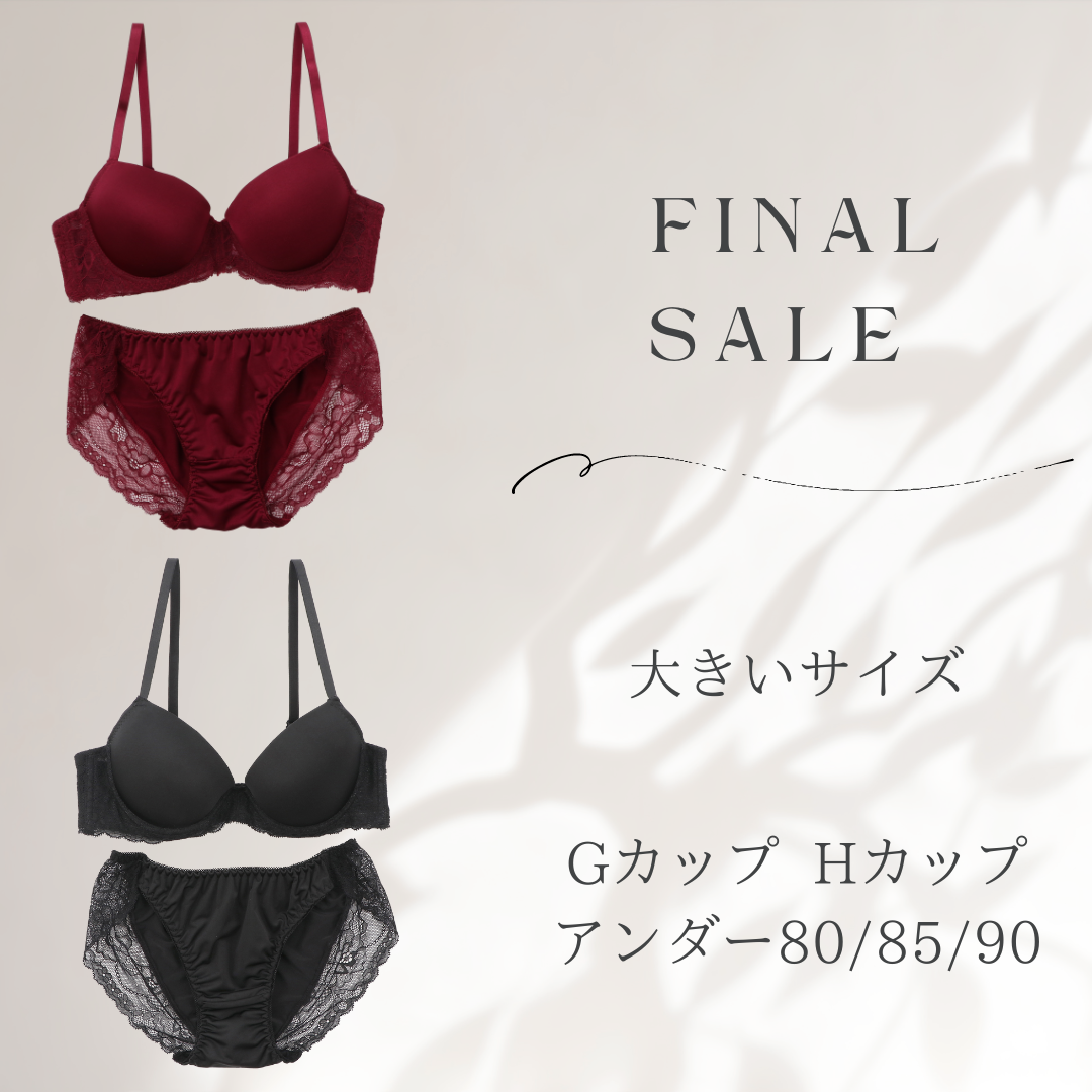 【本日最終日 最大60％オフ Gカップ Hカップ】アンダー 80 85 90 大きいサイズブラジャー