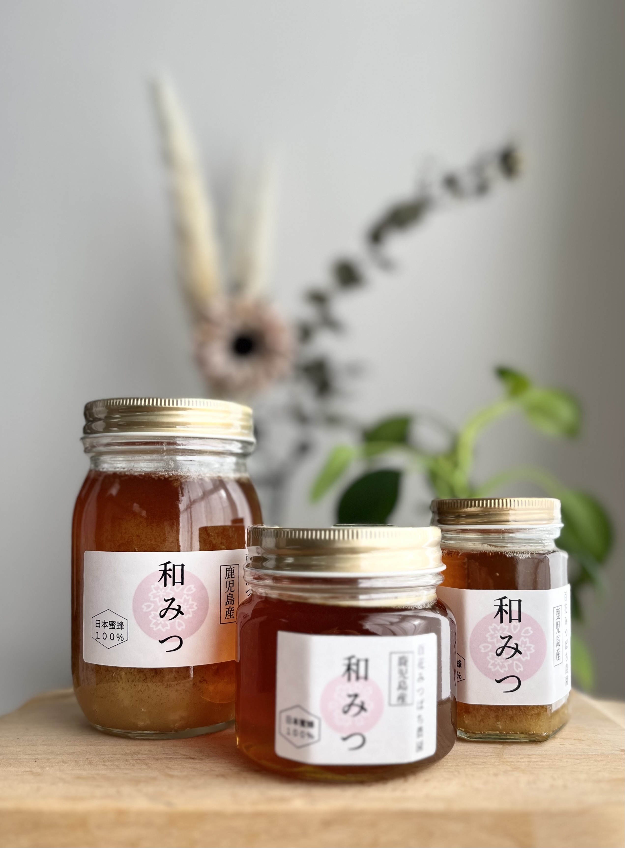 冬季限定セール！