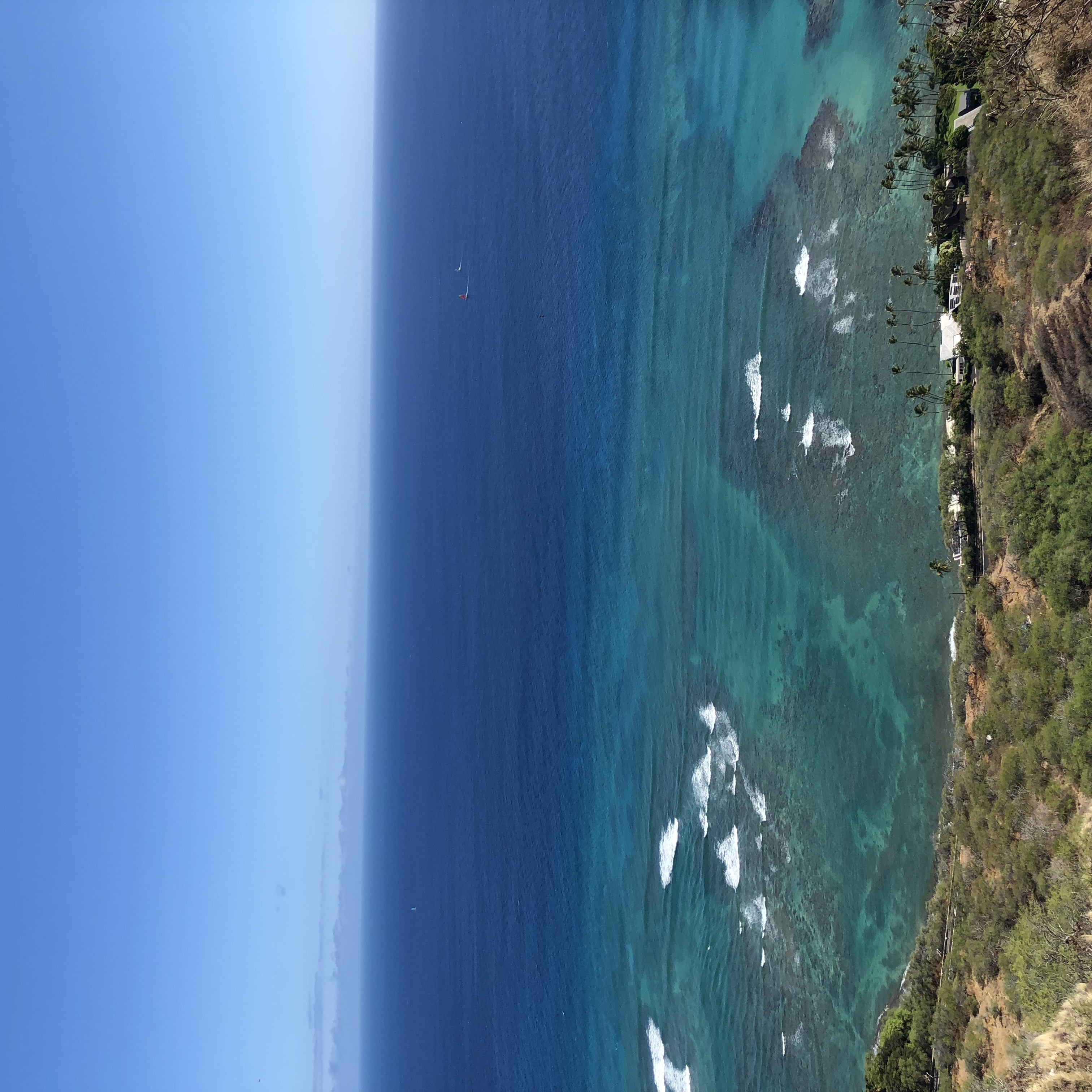 祝！公式サイトOPEN！！