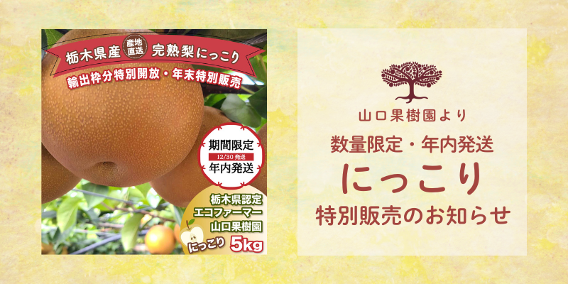 にっこり梨特別販売開始とクリスマスクーポンのお知らせ
