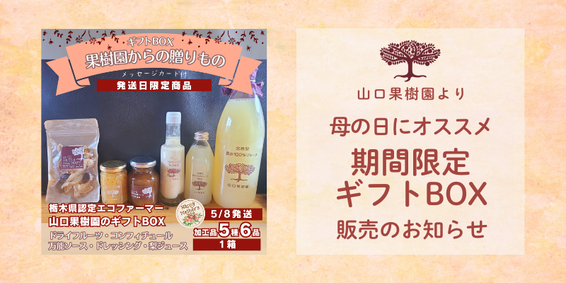 母の日にオススメ！期間限定「ギフトBOX」4/18(金)10:00～注文受付開始