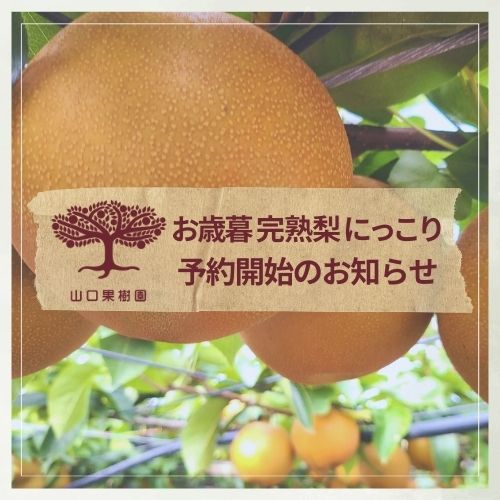 明日（11/10）より【お歳暮 にっこり】予約受付いたします！
