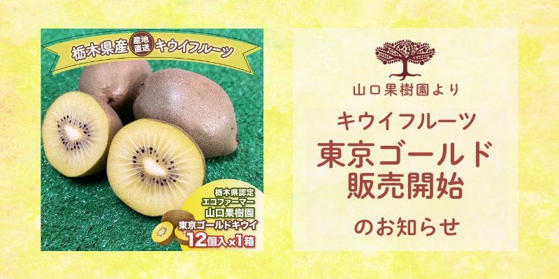 明日(11/12)よりキウイフルーツ【東京ゴールド】販売開始いたします!