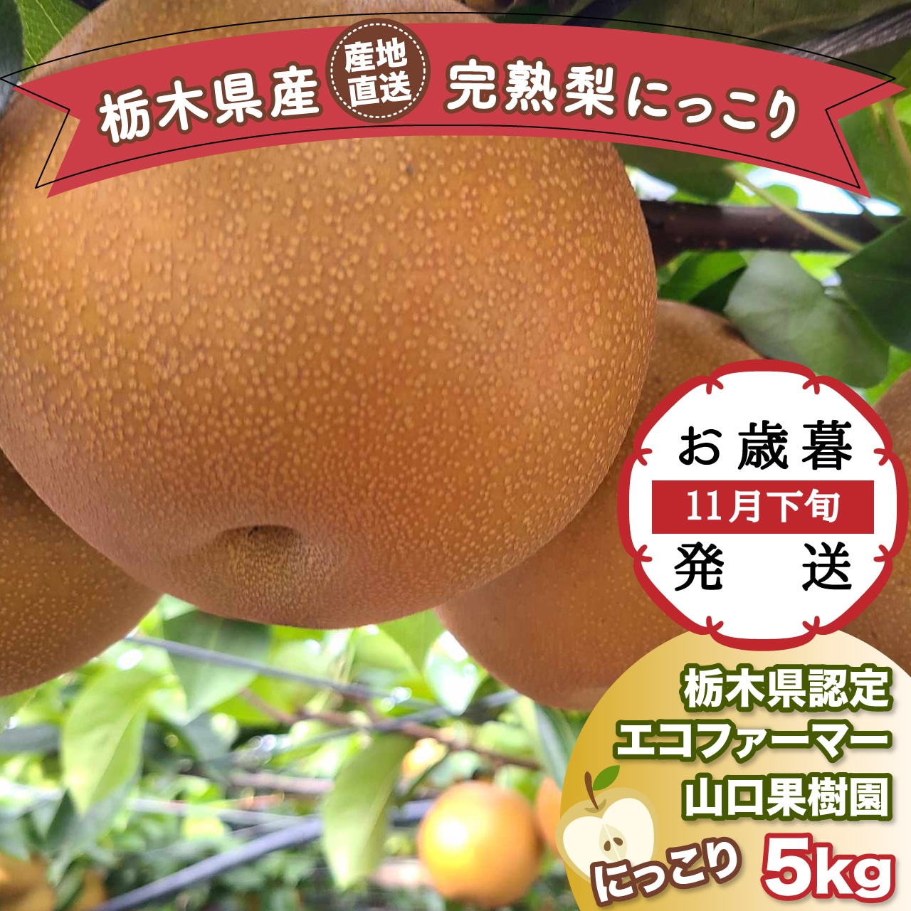 「完熟梨 にっこり」販売再開!