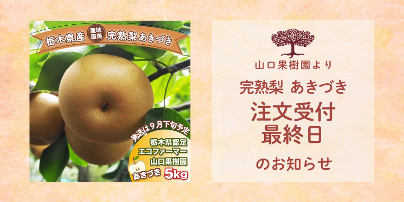 『完熟梨 あきづき』9/23(火・祝)で注文受付終了になります!