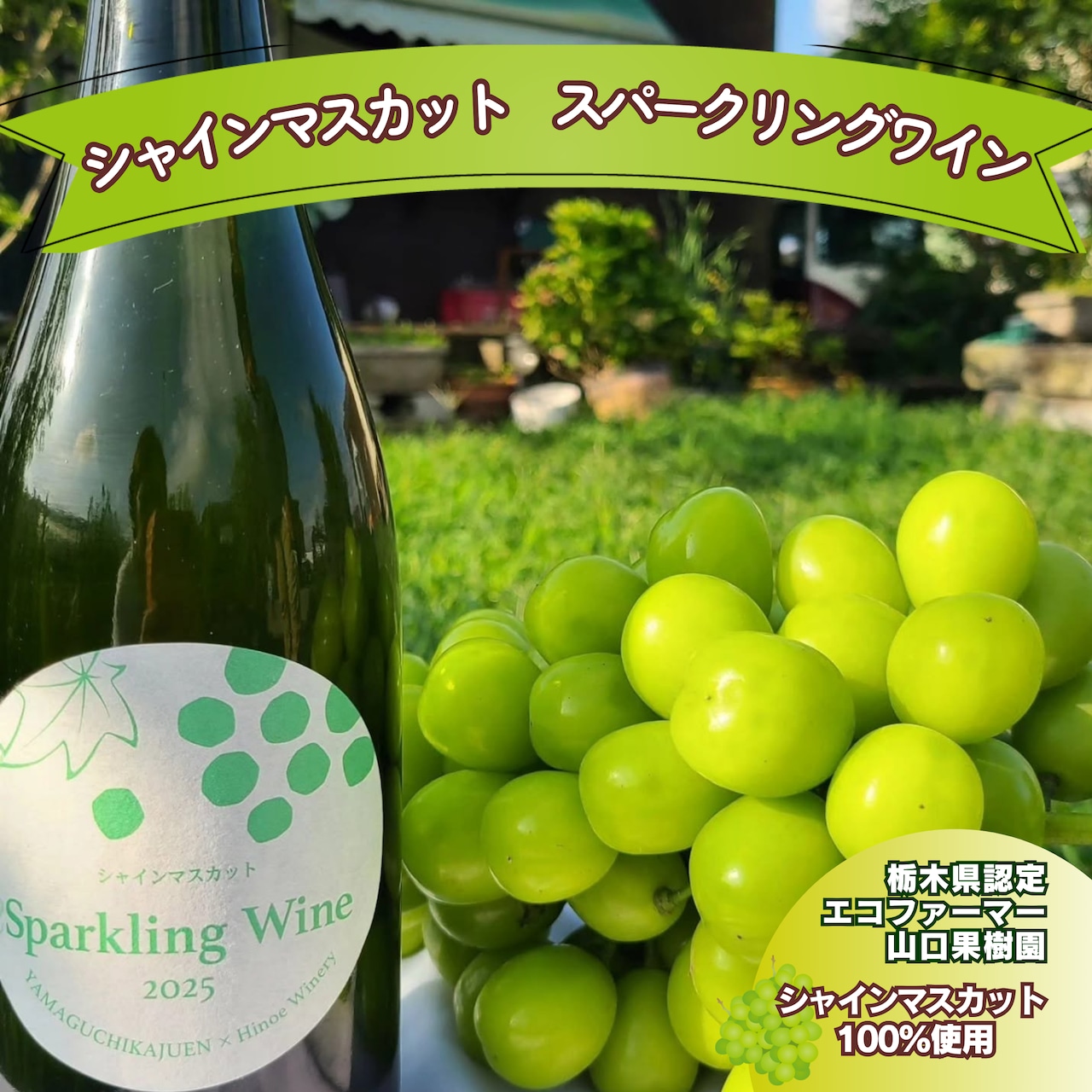 新発売 山口果樹園のシャインマスカット100%使用したワインが誕生!