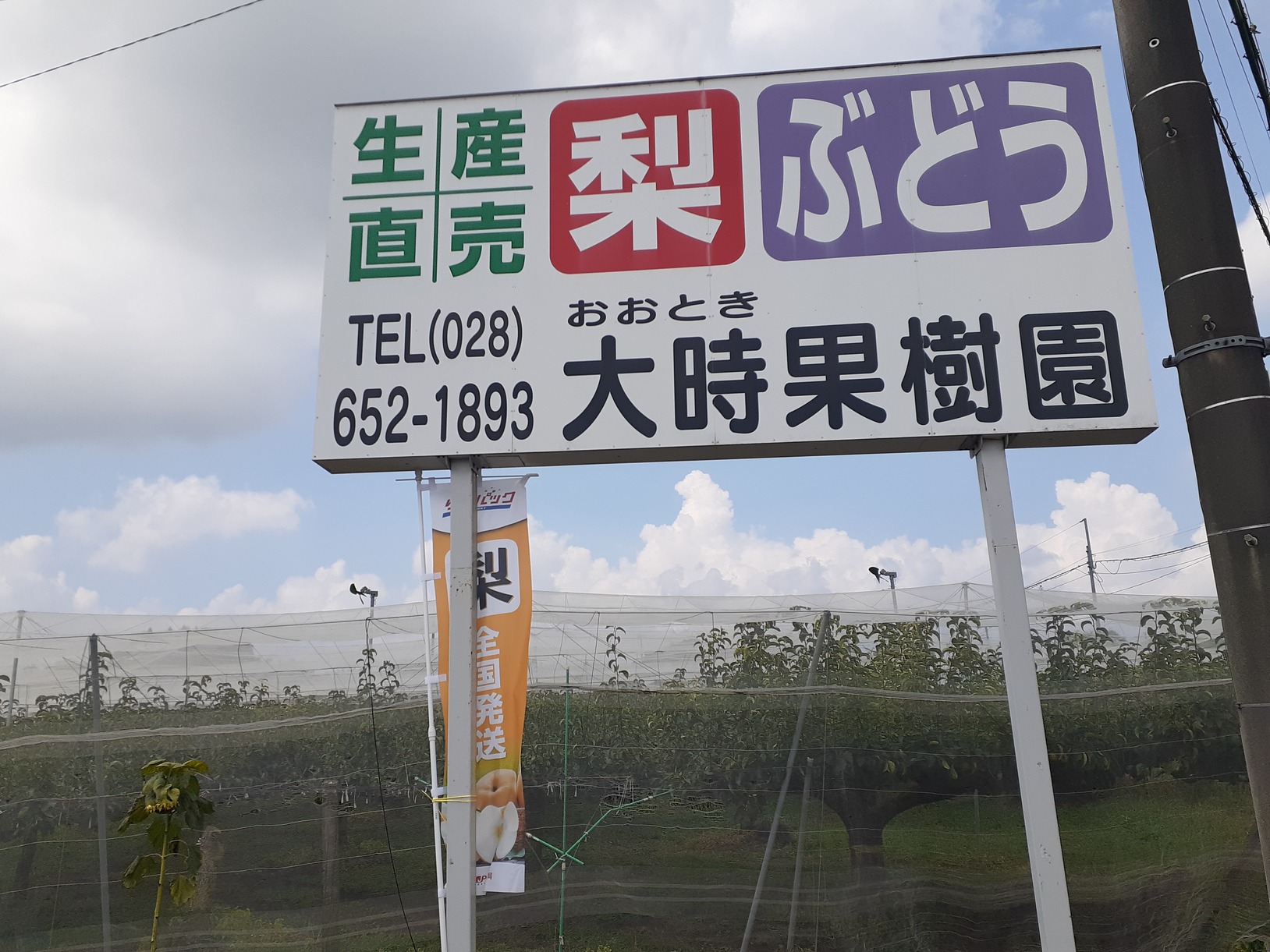 8月12日(火)直売所OPEN!