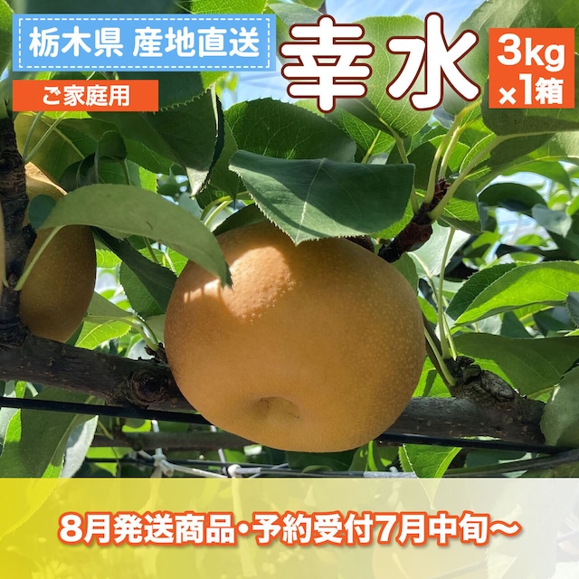 「幸水」と「なつしずく」の注文受付を7/10から開始いたしました