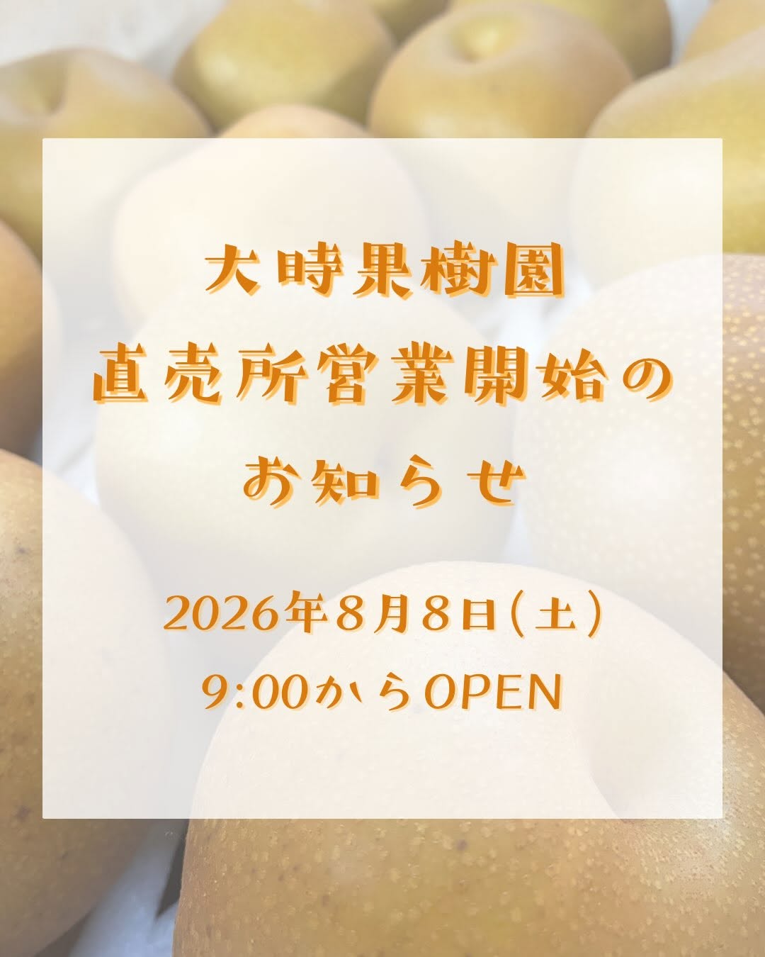8月8日(土)9:00から直売所がOPEN!