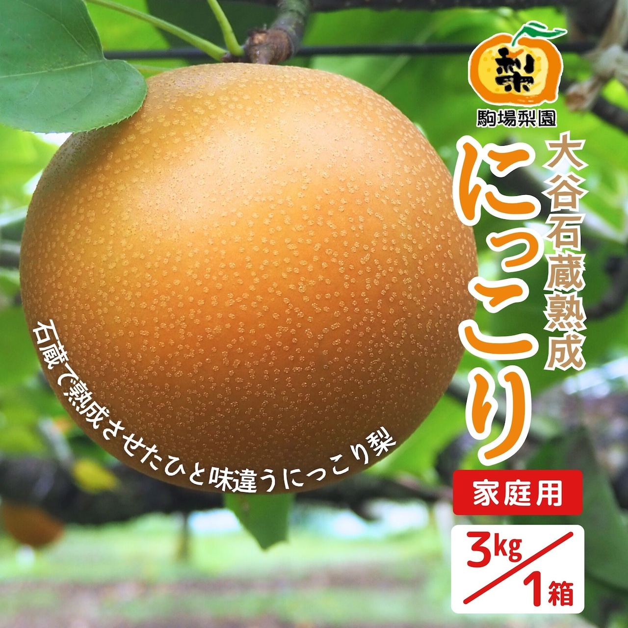 「大谷石蔵熟成 完熟梨 にっこり」の発送が始まりました!
