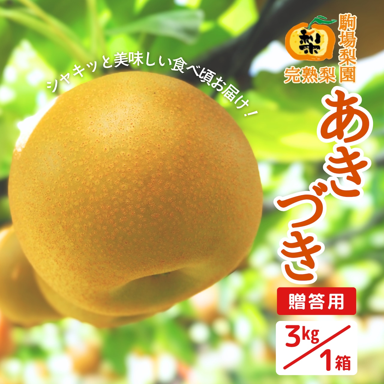 完熟梨・あきづき 注文受付を10/4(土)で終了いたします!
