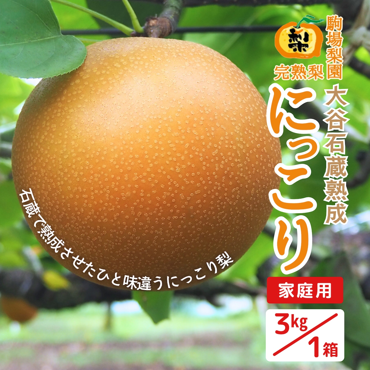「大谷石蔵熟成 完熟梨 にっこり」10/1(水)注文受付を開始!