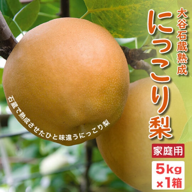【発送開始】栃木県産完熟梨・大谷石蔵熟成にっこり