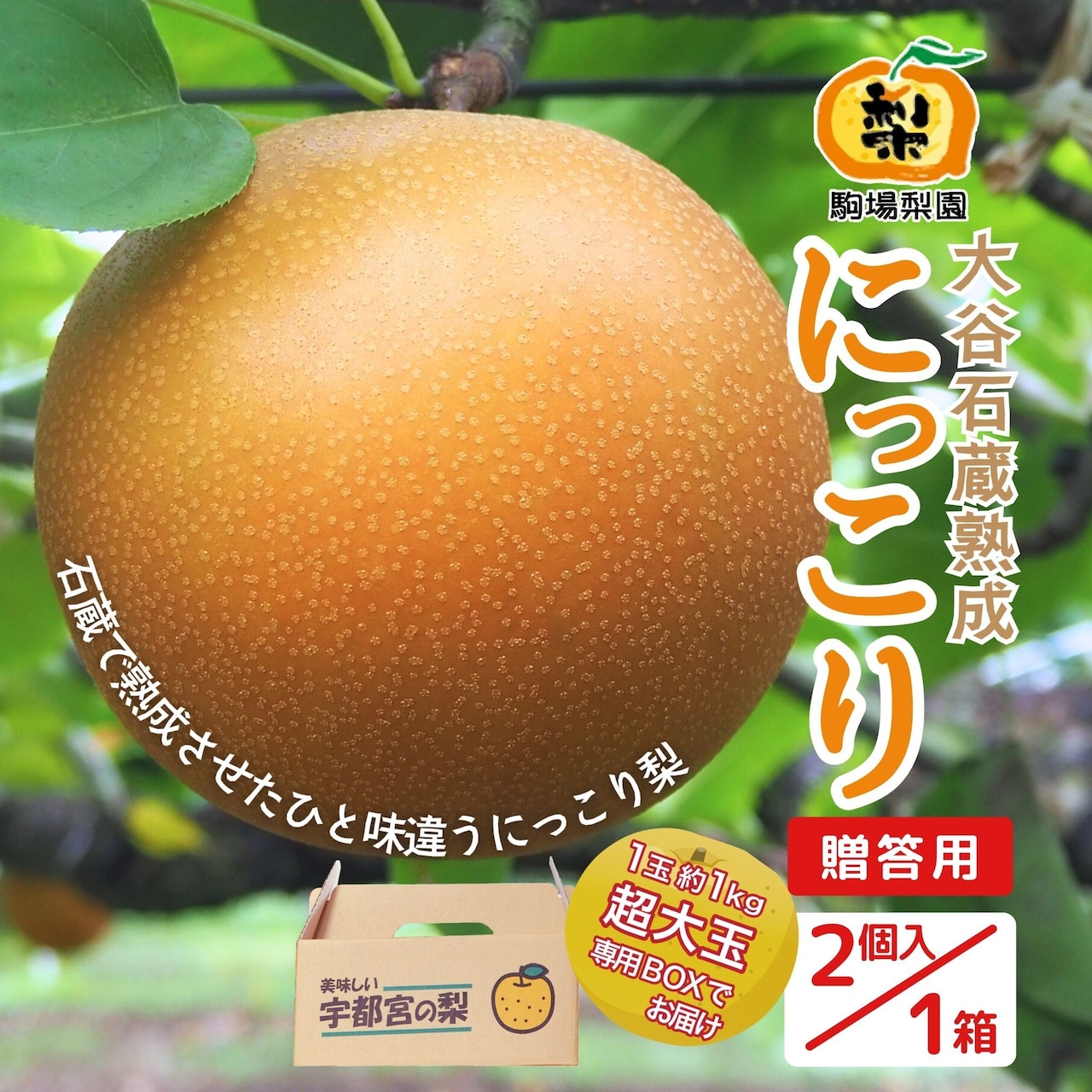 お歳暮・クリスマス・お正月に「大谷石蔵熟成 完熟梨 にっこり」