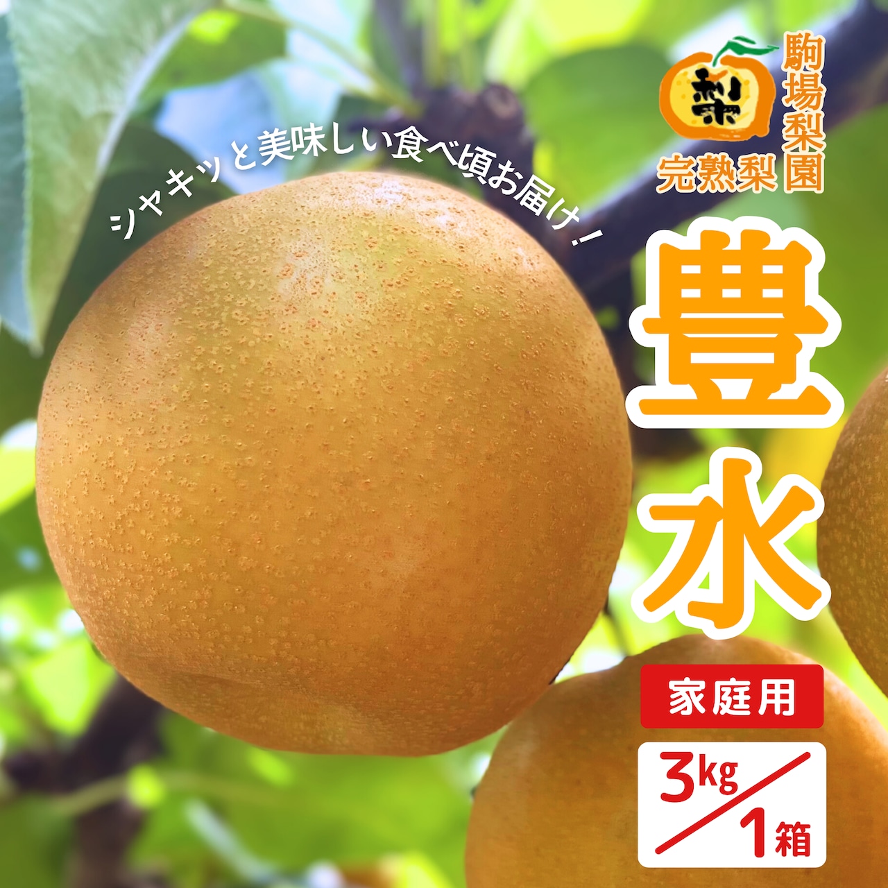 「完熟梨 豊水」9/20完売御礼です!!!「あきづき」「甘太」は注文受付中!